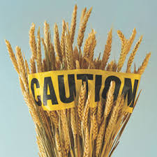 stalks of wheat with yellow caution tape around it