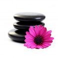 Smooth stones stacked with pink flower