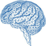 Drawing in blue of Brain Architecture for Functional Neurology