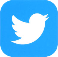 Twitter Icon in Blue