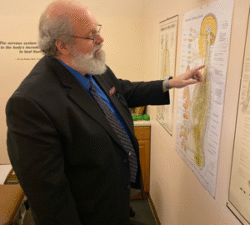 Dr. Ron Cherubino teaching about the nervous system