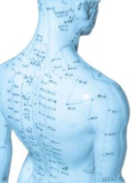 Energy-Medicine-Report acupuncture model blue